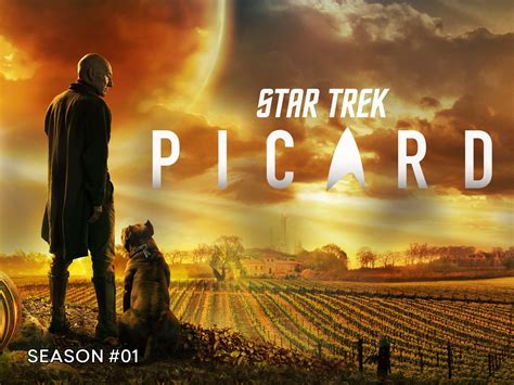 imdb picard|imdb picard season 1.